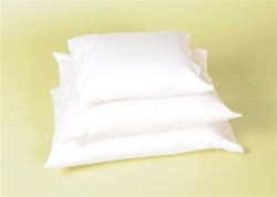 Organic Case Kapok Pillow