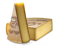 Swiss Cheese of the Month Club, Artisan Cheeses hand made by Swiss Cheese Masters, 3 Unique Swiss Cheeses every month, Average Total Weight of cheese per shipment one and half a pound, Free Shipping, Sbrinz; Berner HobelkÃ¤se; Berner AlpkÃ¤se; Emmentaler