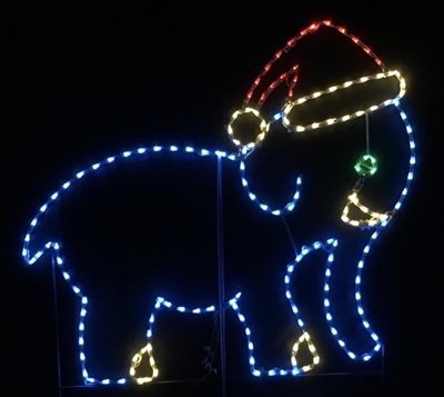 Elephant wearing Santa Claus Hat