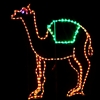 Standing Camel