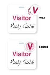 Manual Clip-on Badge 3" X 3" W/ Expiring TIMEspot- Half Day Or One Day Expiration.  Pkg. of 500.