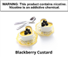 Blackberry Custard