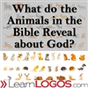 What do the Animals in the Bible Reveal about God?
