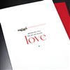 Love / Friendship  " Airplane "  LVF17 Greeting Card
