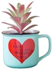 2-In-1 "I Think I'll Just Be Happy Today" Succulent & Coffee Mug