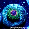 Rainbow Eclipse Zoanthid
New York Reef Aquatic
Zoanthids