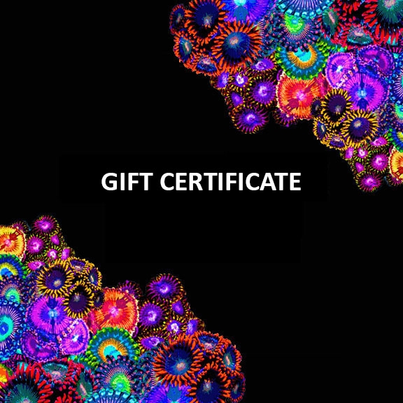 Gift Certificate