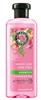 Herbal Essences Shampoo Rose Hips 3.38oz (12 Pieces) (46055)<br><br><br>Case Pack Info: 2 Units