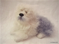 English Sheep Dog