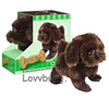 Chocolate Lab Dog Pet Accessory