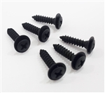 1993 - 2002 Camaro Sunvisors Bracket Mounting Hardware Screw Set