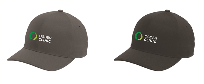 Port Authority Flexfit Delta Cap