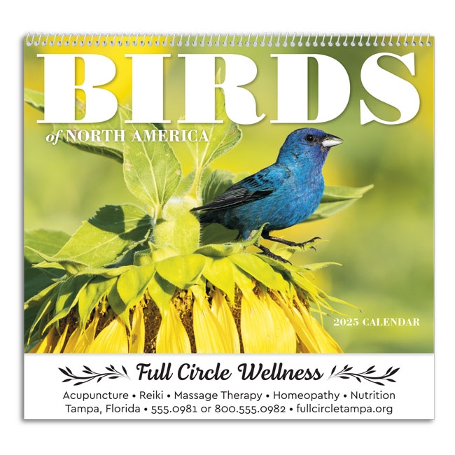 61-836 Birds of North America Wall Calendar