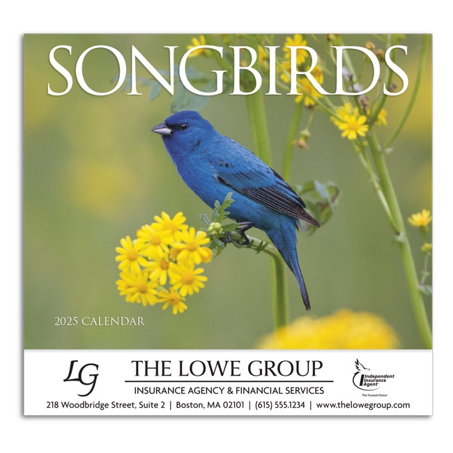 81-875 Nature's Songbirds Wall Calendar