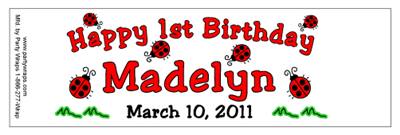 Childrens Birthday Lady Bug Water Bottle Labels