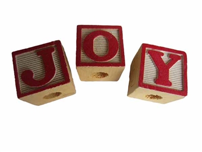 J-O-Y Blocks