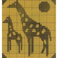 Giraffes