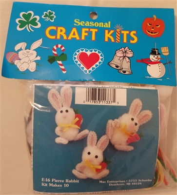 Pierre Rabbit Easter Bunny Magnets Seasonal Craft Kit