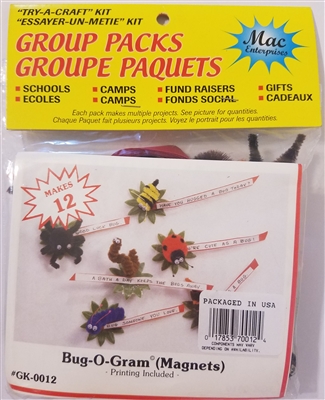 Bug-O-Gram Magnets Kids' Group Craft Kit