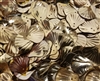 20mm Gold Seashell Sequins (12 pcs)