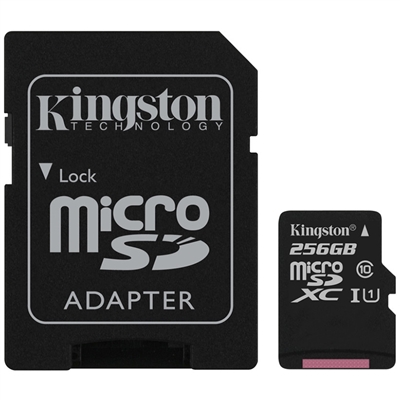 Kingston SDCS/256GB 256GB Canvas Select Class 10 microSDHC Card