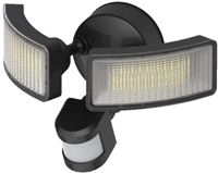 Motion Security Light