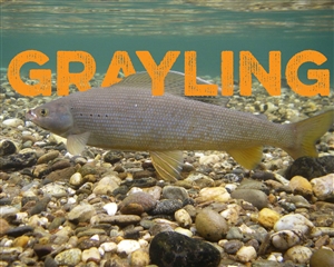Grayling fishing lure kit - Northern Grayling kit