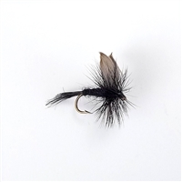 Dry Fly - Black Gnat