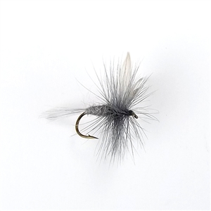 Blue Dunn Dry Fly