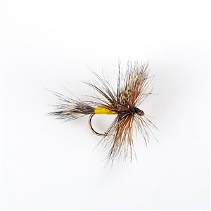 Grizzly Wulff Dry Fly