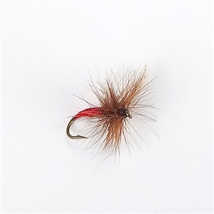 King of Waters Dry Fly