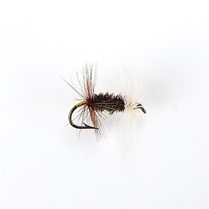 Renegade Dry Fly
