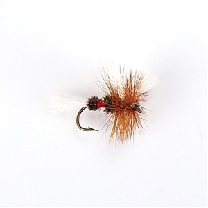 Royal Wulff Dry Fly