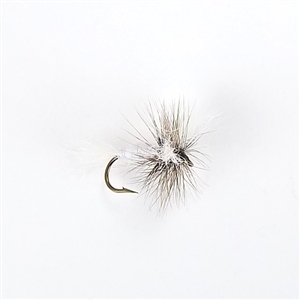 White Wulff Dry Fly