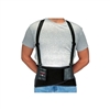 Allegro 7160 BodyBelt Back Support