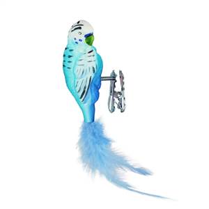Parrot Light Blue