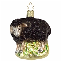 Inge Glas Baa Baa Black Sheep