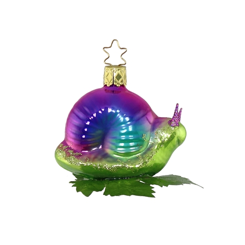 Purple Blue Snail - We Love It Colorful!