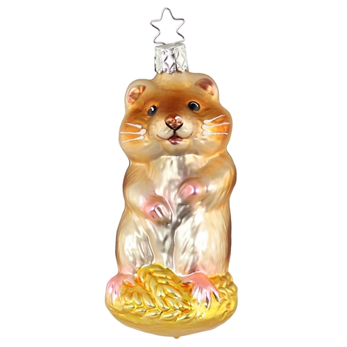 Inge Glas Hamster