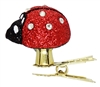 Mini Clip On Ladybug