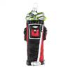 Golf Bag