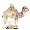 Arabian Camel