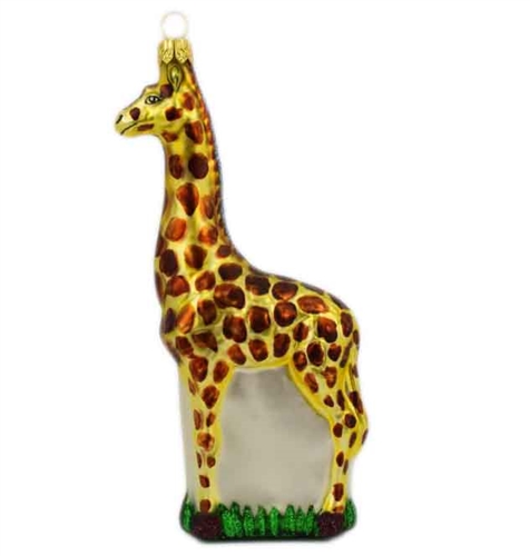 Large Giraffe