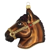 Horse Head