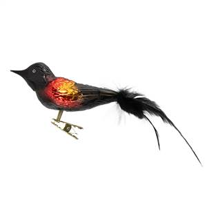 Red Wing Blackbird