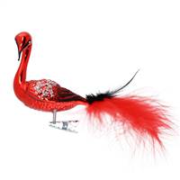 Red Peacock