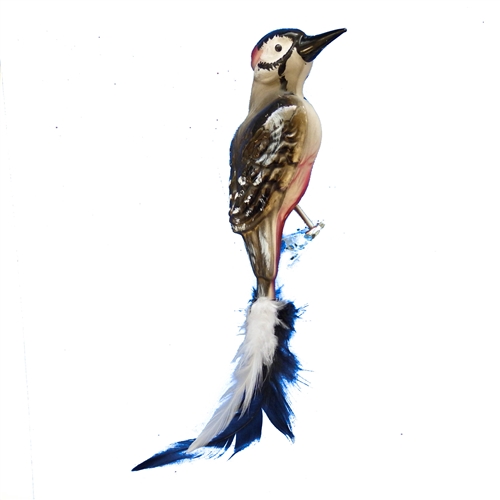Red Head Woodpecker