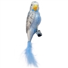 White & Light Blue Budgerigar Pararkeet From Germany