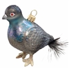 Grey Pigeon Bird