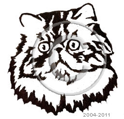 Persian Cat memorial graphic